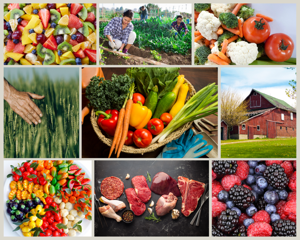 Ingredient Cooking Guides